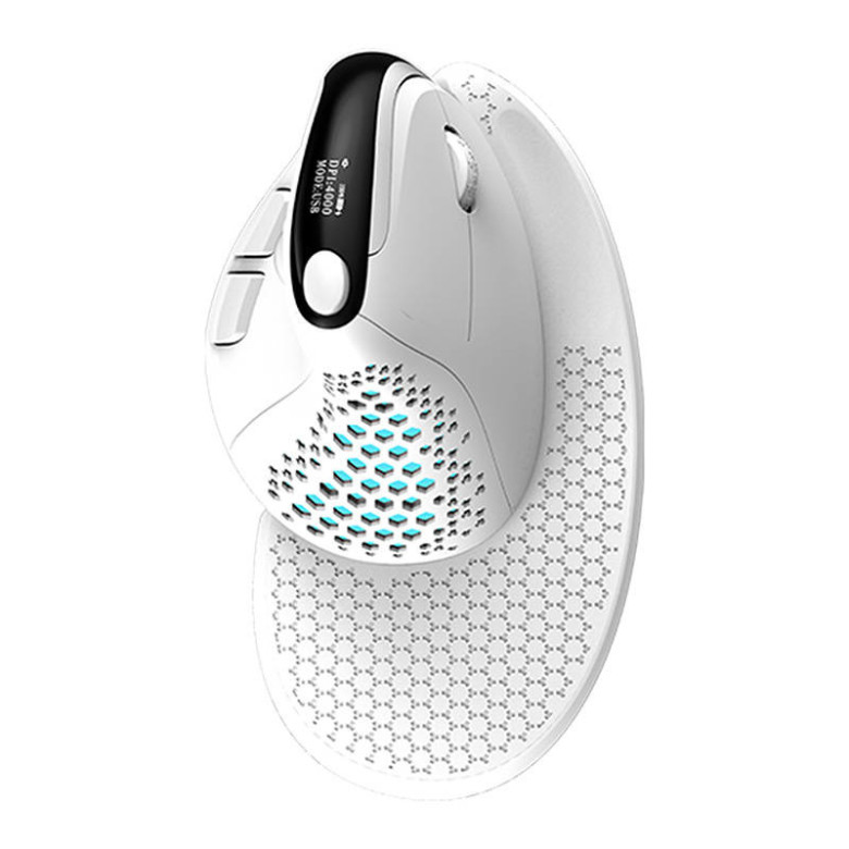 Delux M618XSD BT+2.4G RGB vezeték nélküli ergonomikus egér (fehér) Delux M618XSD BT+2.4G RGB vezeték nélküli ergonomikus egér (fehér)