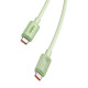 Baseus Habitat Series gyorstöltő kábel USB-C - USB-C, 100W, 2m (zöld)