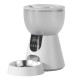 Automatic pet feeder F17 LED + Pet fountain W8 Petwant