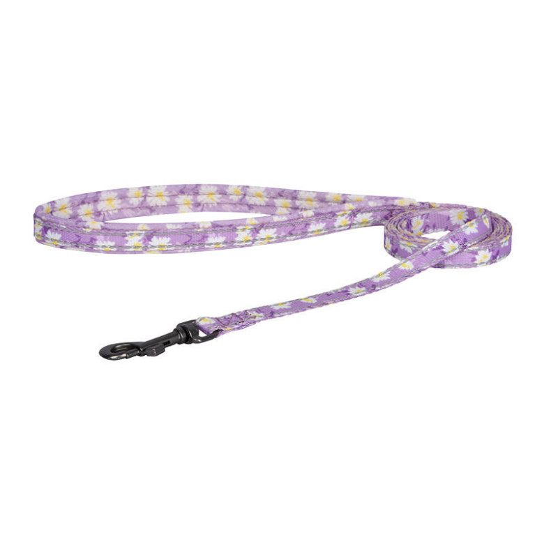 Dog set Dogness harness and leash (Calamus Pink) Dog set Dogness harness and leash (Calamus Pink)