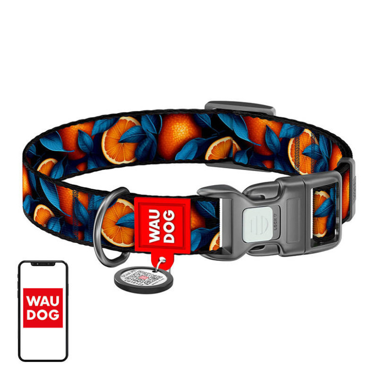 Nylon dog collar with QR code Waudog 