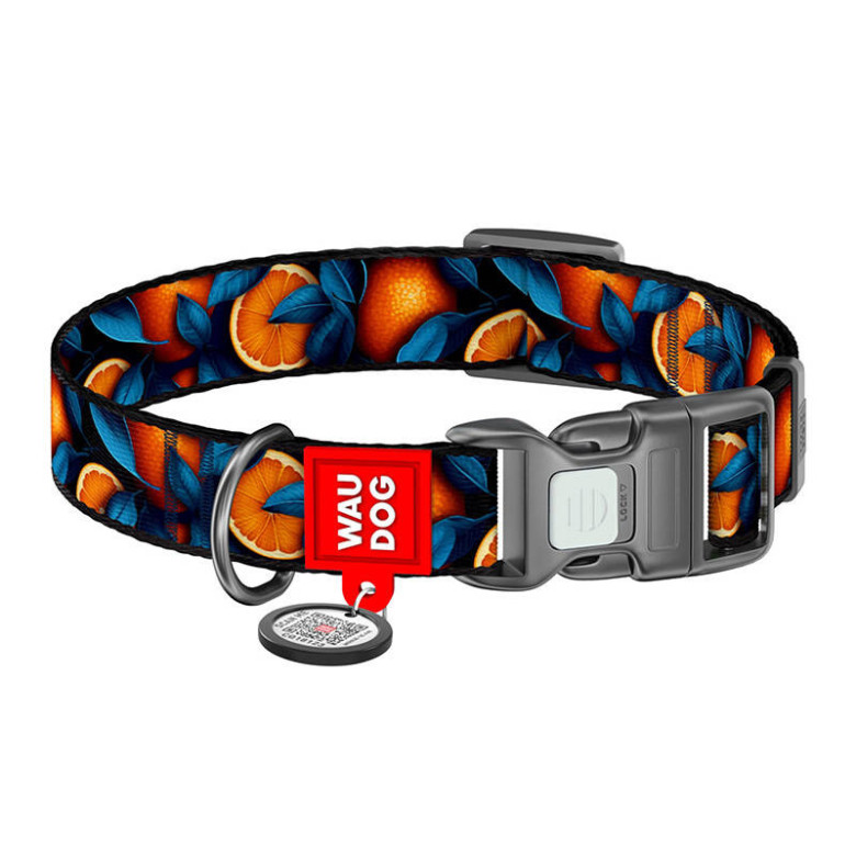 Nylon dog collar with QR code Waudog Nylon dog collar with QR code Waudog