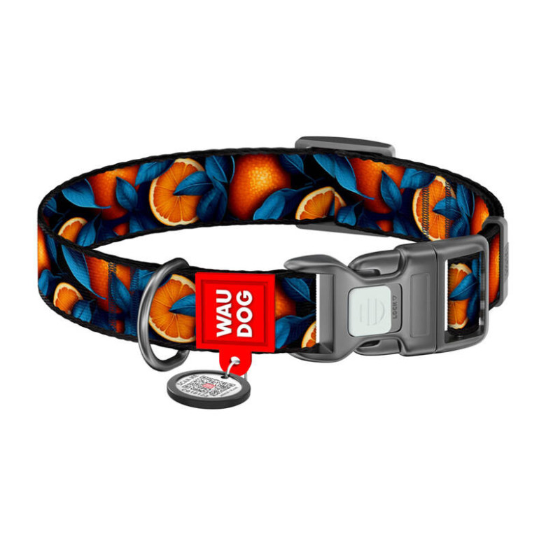 Nylon dog collar with QR code Waudog Nylon dog collar with QR code Waudog