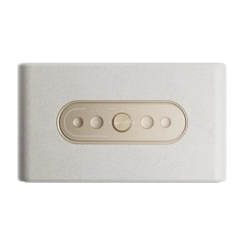 QCY SP300 wireless speaker (white)