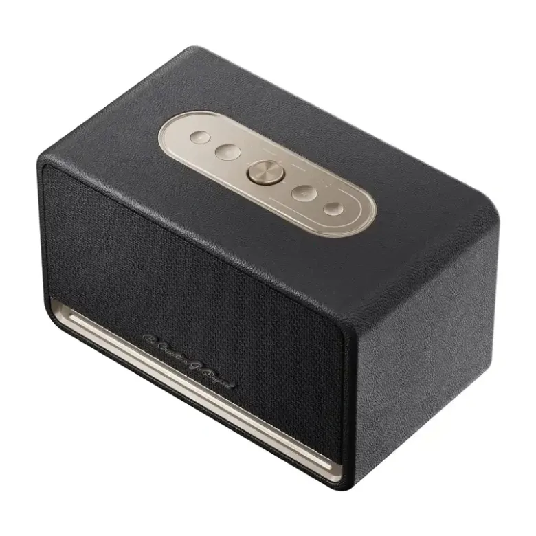 QCY SP300 wireless speaker (black)