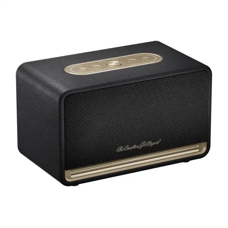 QCY SP300 wireless speaker (black)