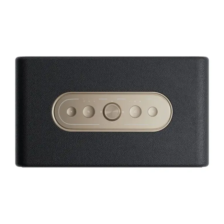 QCY SP300 wireless speaker (black)