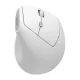 M371 Wireless Vertical Mouse BT+2.4G 2xAAA