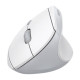 M371 Wireless Vertical Mouse BT+2.4G 2xAAA