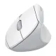 M371 Wireless Vertical Mouse BT+2.4G 2xAAA