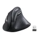 Vertical mouse UGREEN MU008 BT 2.4G (black) Vertical mouse UGREEN MU008 BT 2.4G (black)