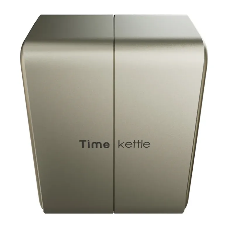 TIMEKETTLE Translation Earbuds W4 Plus (gold)