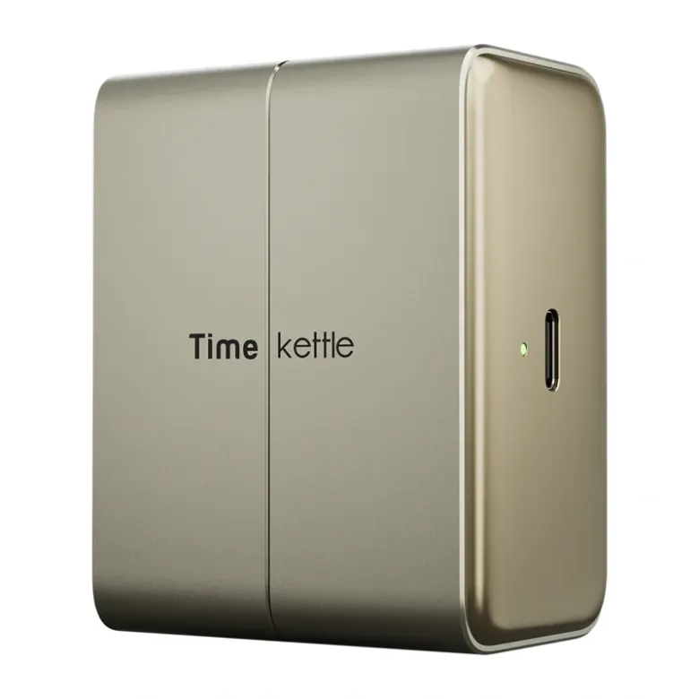 TIMEKETTLE Translation Earbuds W4 Plus (gold)